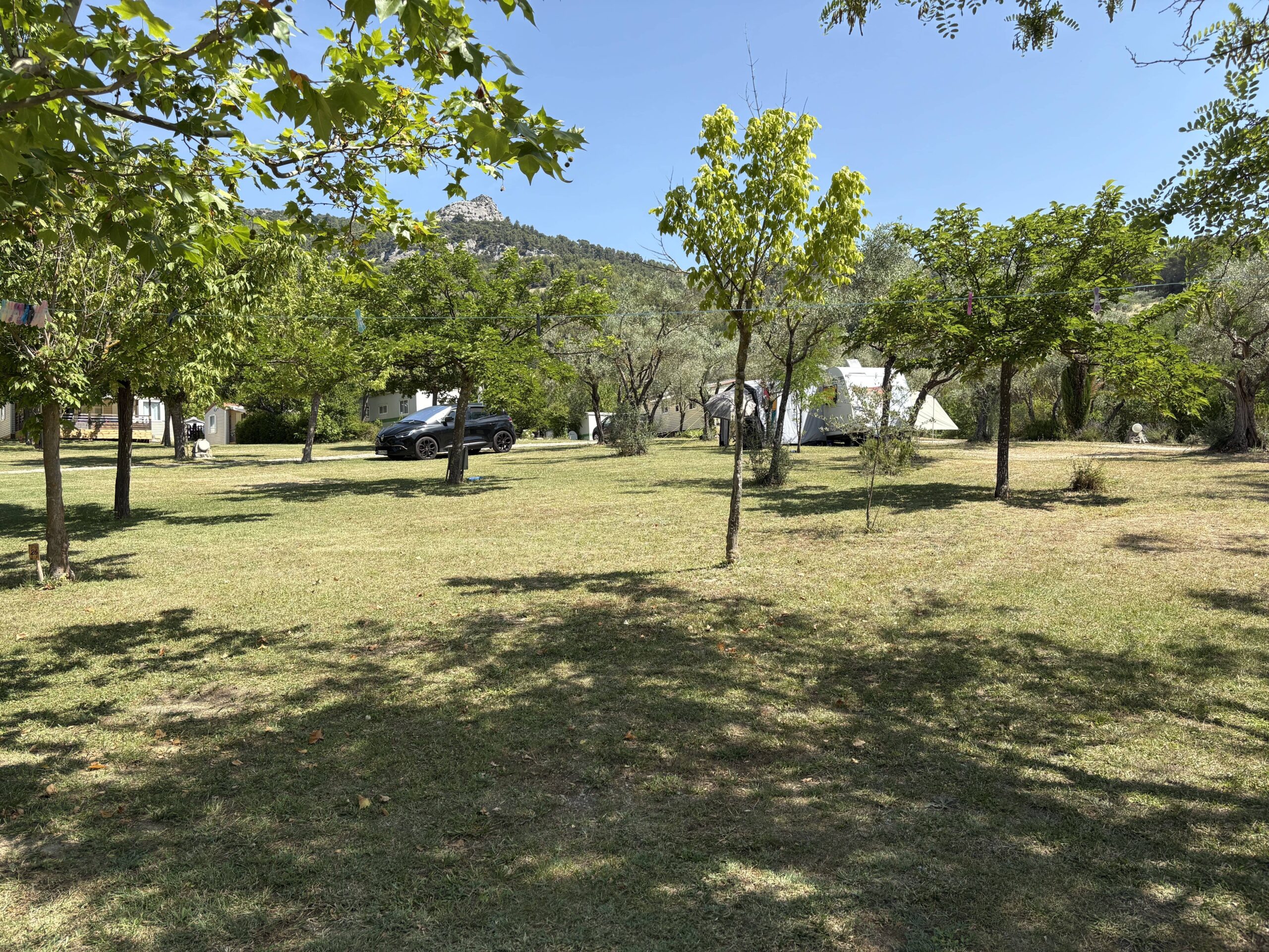 IMG_5940 (2)