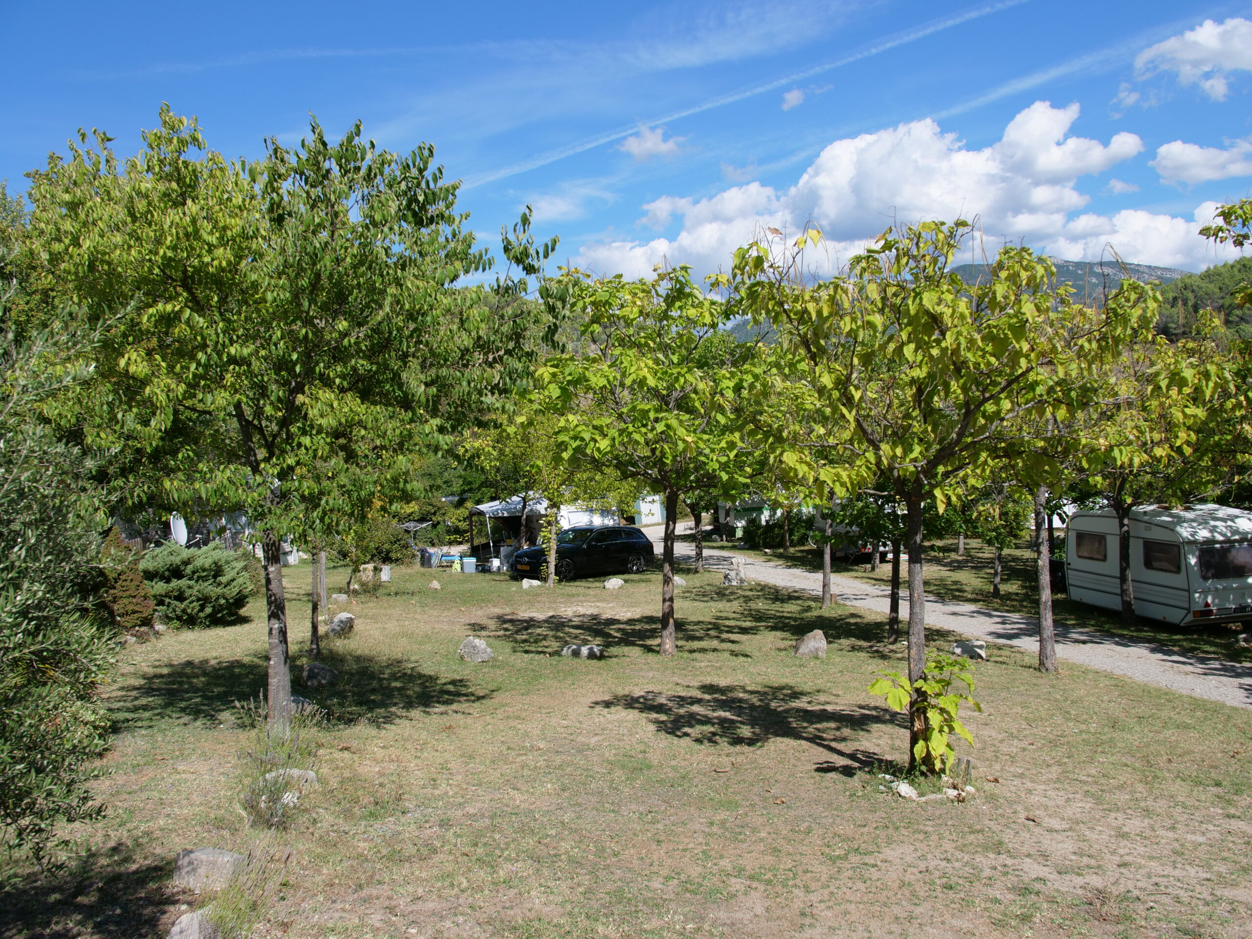 P1344784